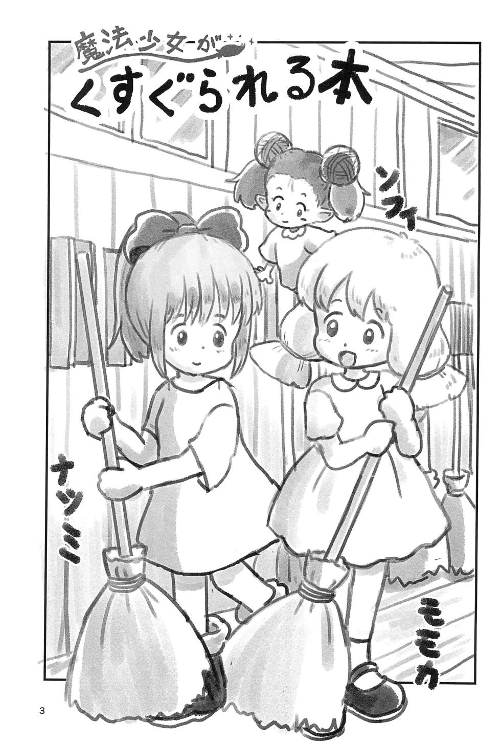 (C104) [Shiro no Ehonya-san (Koeda Shiro)] Mahou Shoujo ga Kusugurareru Hon 2 - Page 3