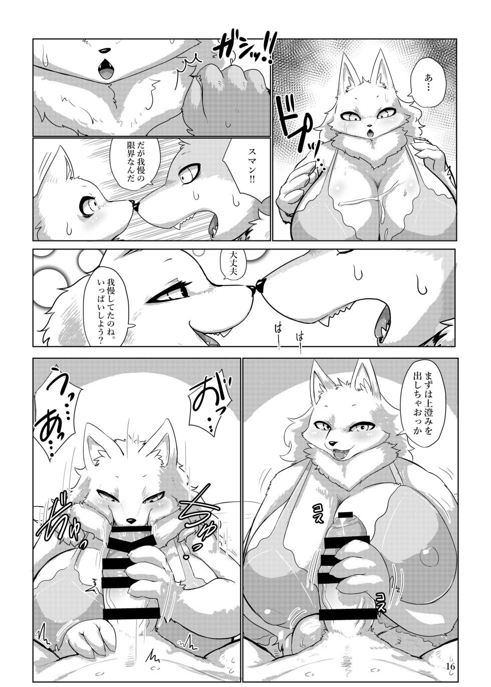 (Kemoket 15) [CoCoLoCo Note (Cocolog)] COURTSHIP - Page 15