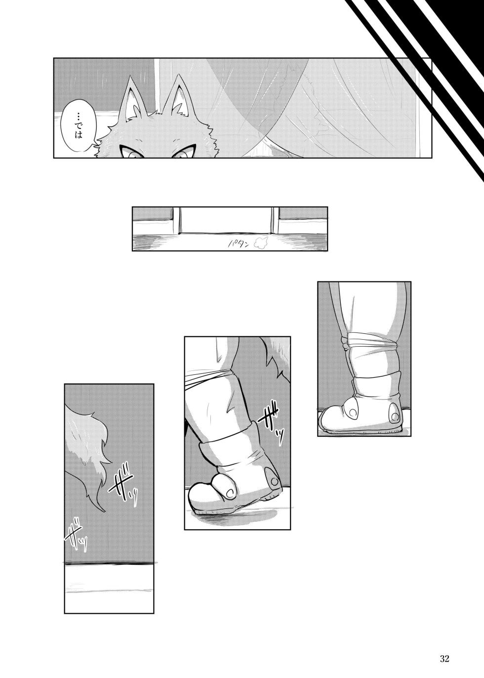 (Kemoket 15) [CoCoLoCo Note (Cocolog)] COURTSHIP - Page 31