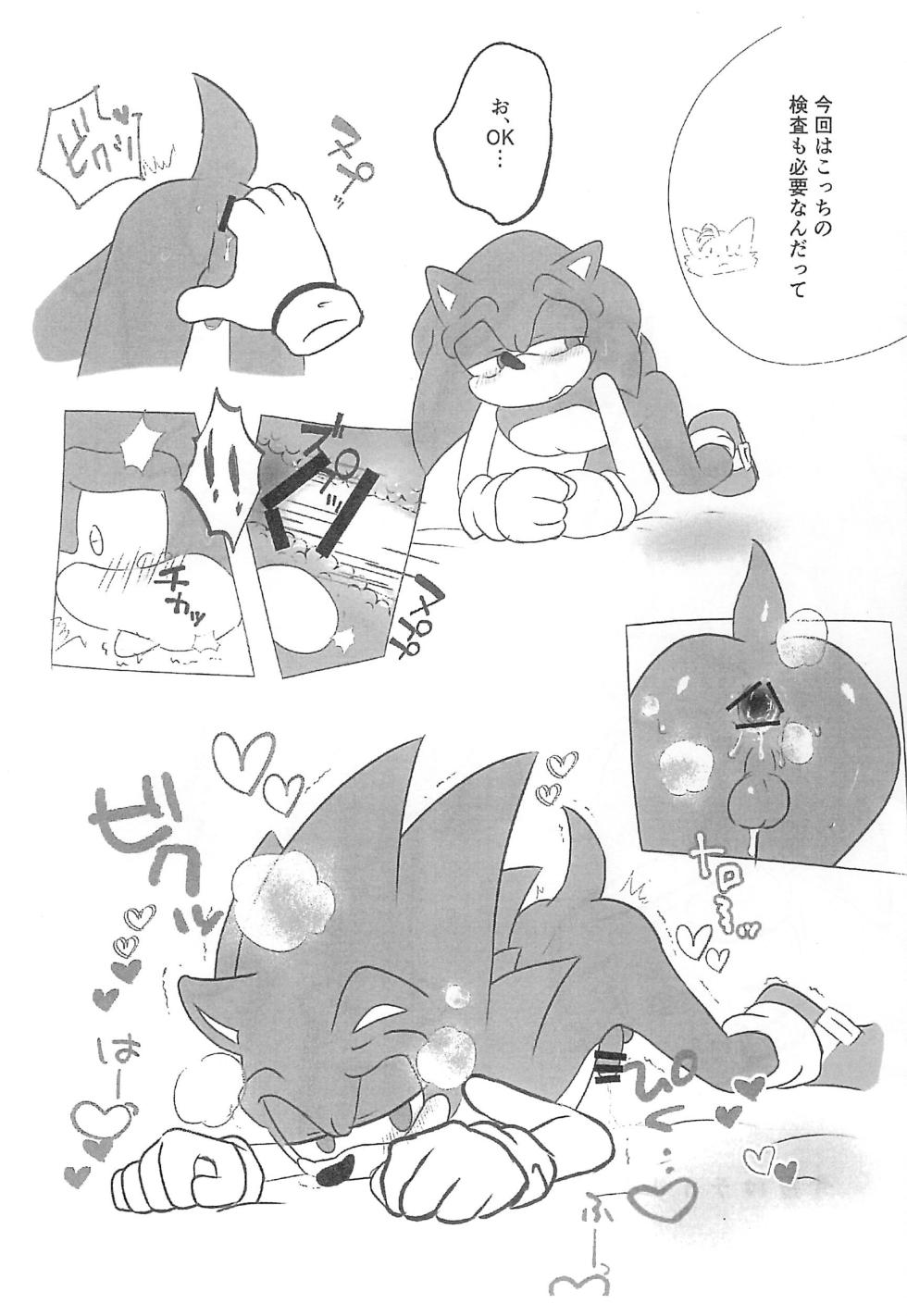 (Kemoket 15) [OneChan Rabbit (OneChan ART)] One Chan Aru de Collection (Sonic the Hedgehog) - Page 5