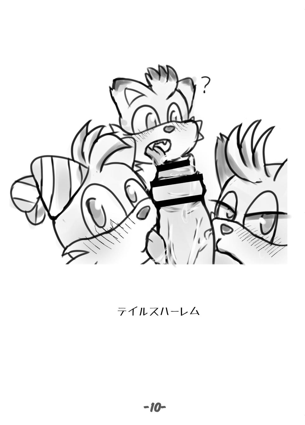 [OneChan Rabbit (OneChan ART)] Primary Tails! (Sonic the Hedgehog) [Digital] - Page 11