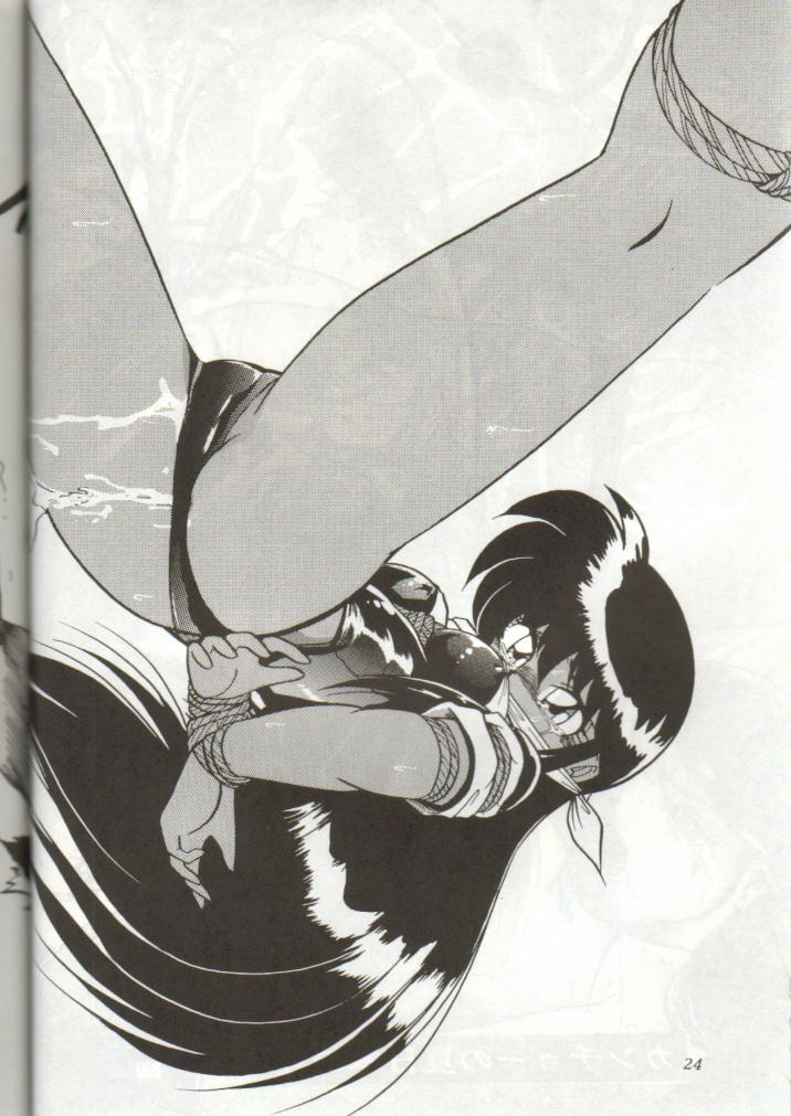 (C44) [Studio Z-Agnam (Various)] Douga Komusume 5 (Various) - Page 25