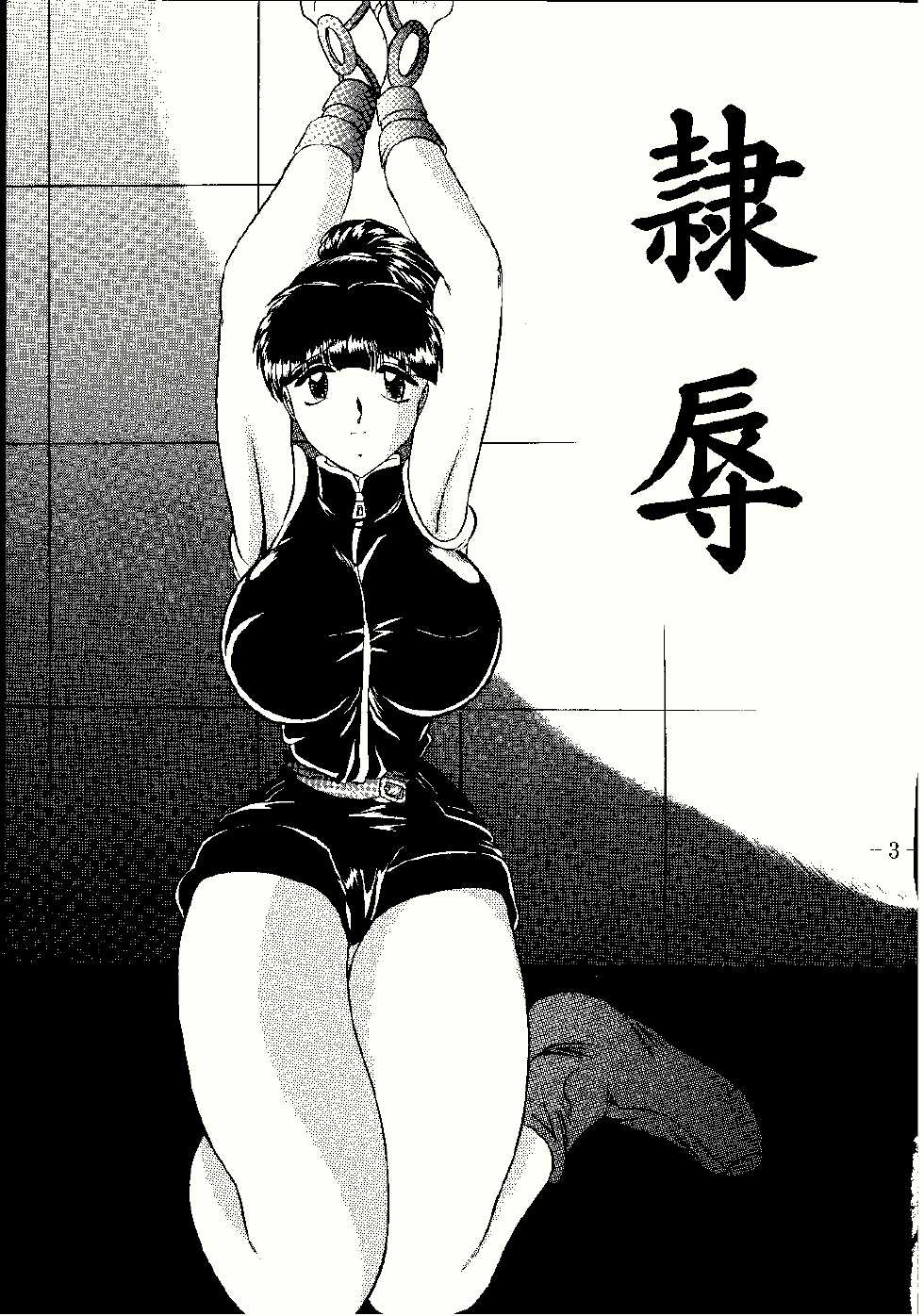 (C58) [Studio Kyawn (Murakami Masaki, Sakaki Shigeru)] Reijoku (Dead or Alive) - Page 3