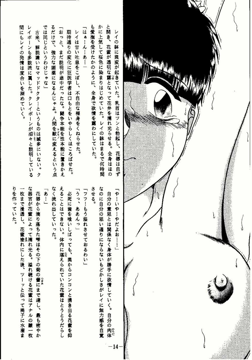 (C58) [Studio Kyawn (Murakami Masaki, Sakaki Shigeru)] Reijoku (Dead or Alive) - Page 14