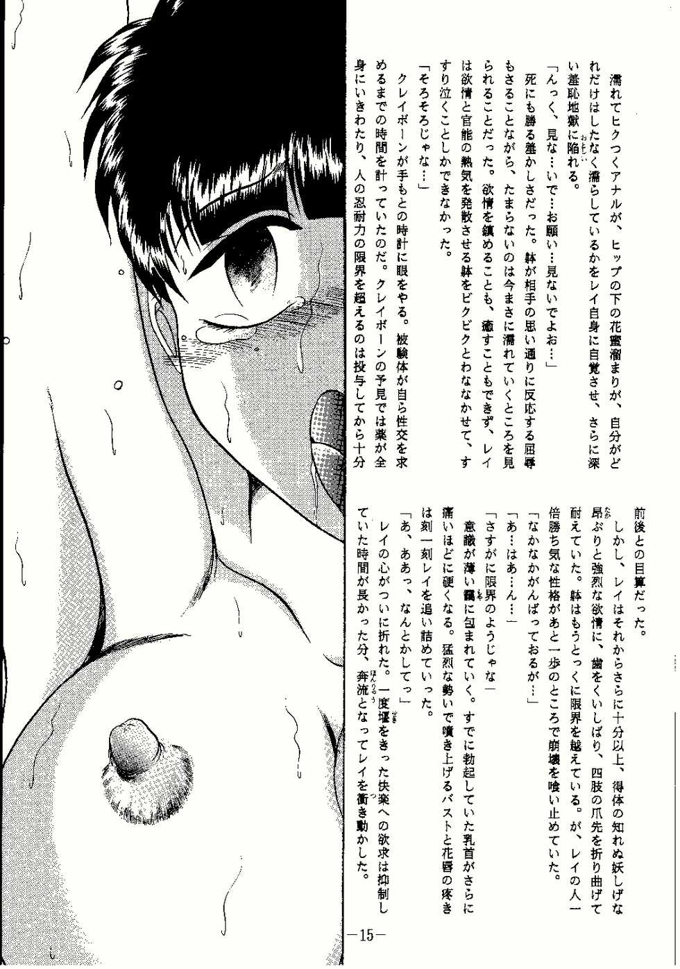 (C58) [Studio Kyawn (Murakami Masaki, Sakaki Shigeru)] Reijoku (Dead or Alive) - Page 15