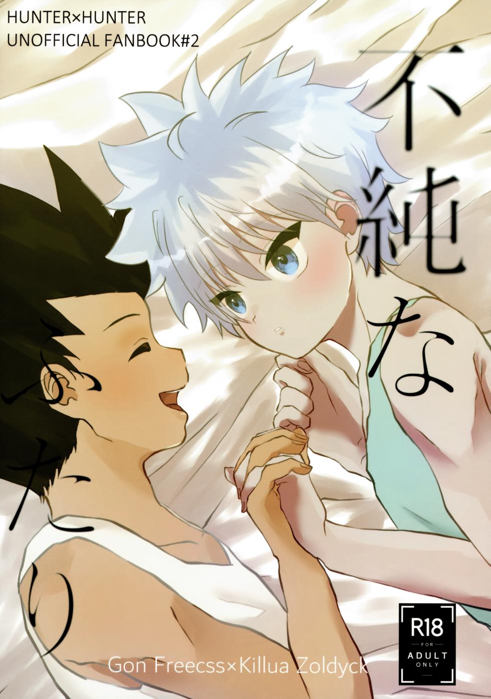 (ENDLESS×HUNTER HARU2024) [Tanukineiri (Tei)] Fujunna Futari (Hunter x Hunter) - Page 1