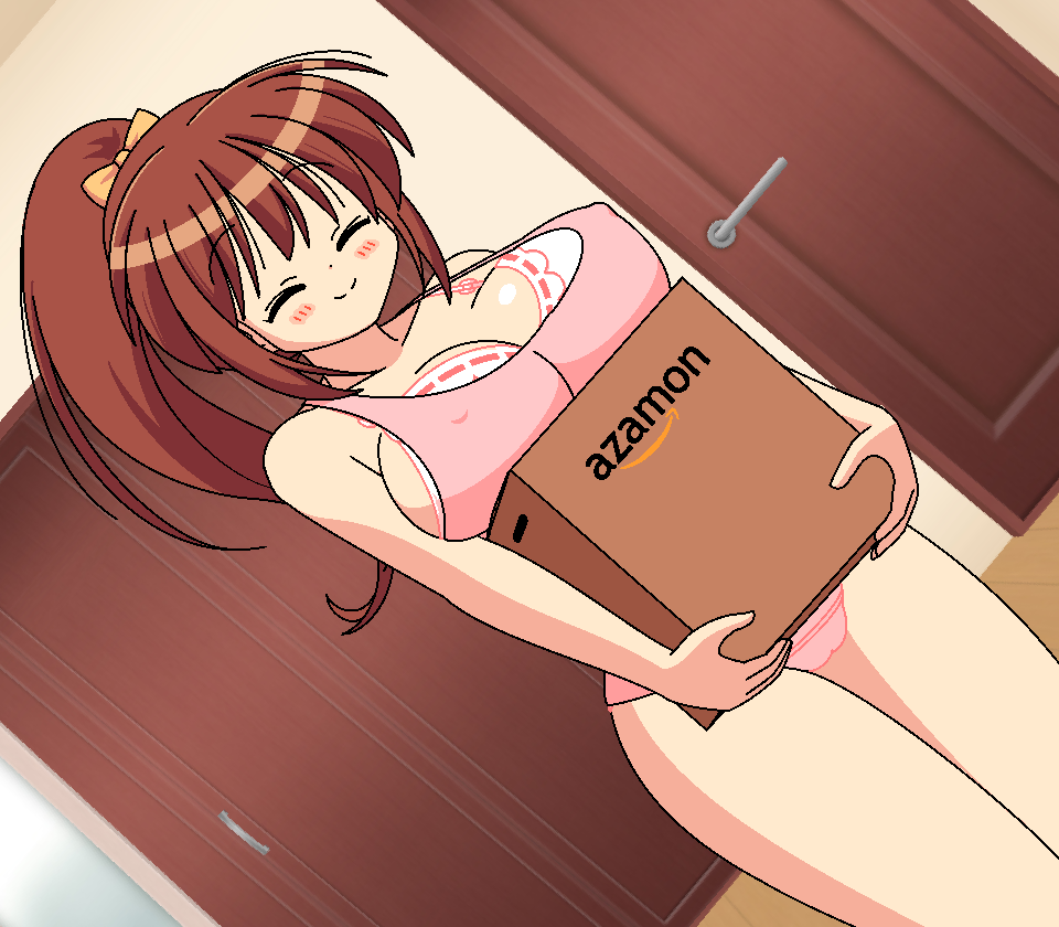 [Punit Dot] 茶髪ポニテ荷物持ち上げ - Page 30