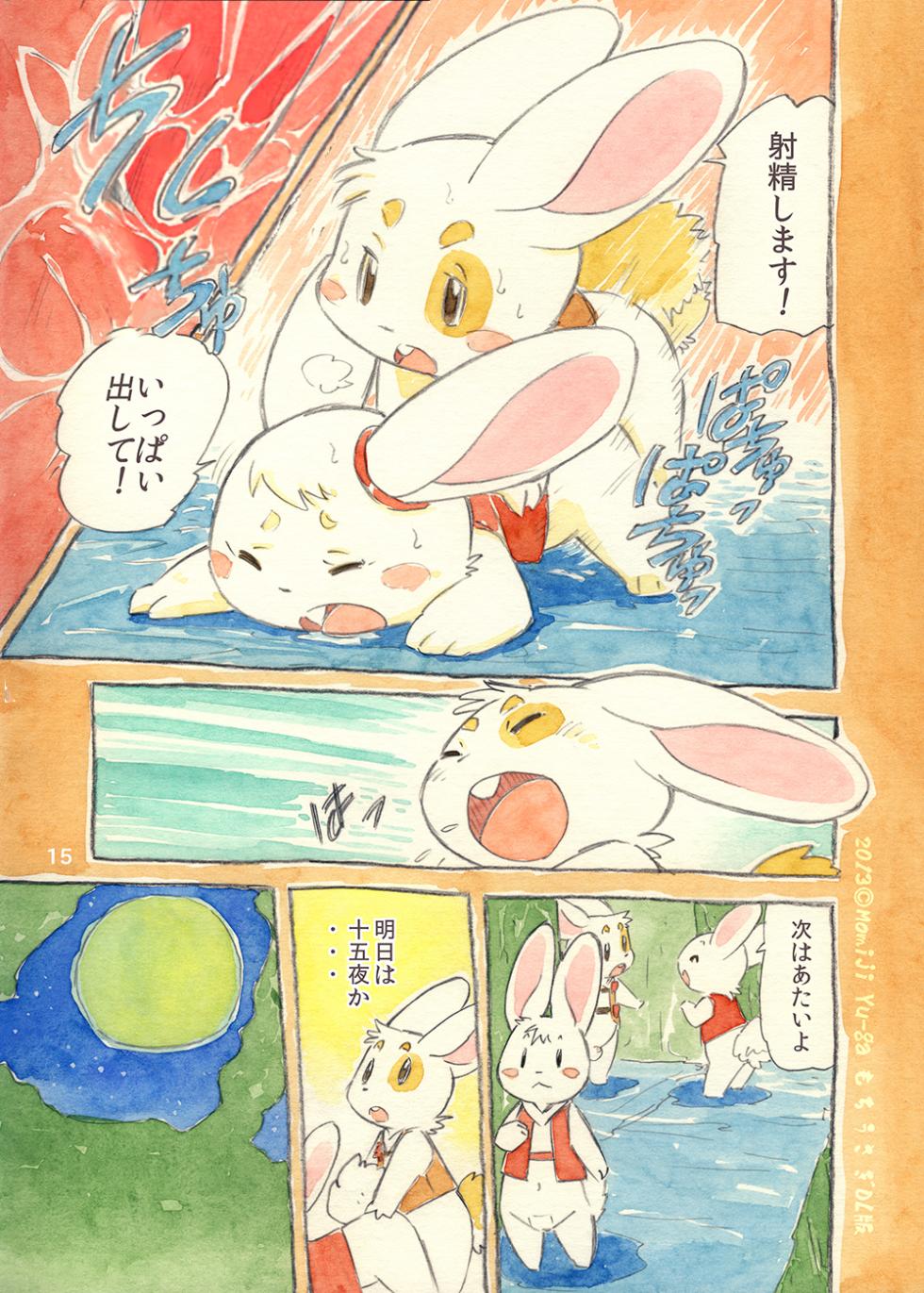 (C81) [Syosyo Yakkyoku (Yu-ga Momiji)] Mochi Usagi Ojou to Boku [Decensored] - Page 15