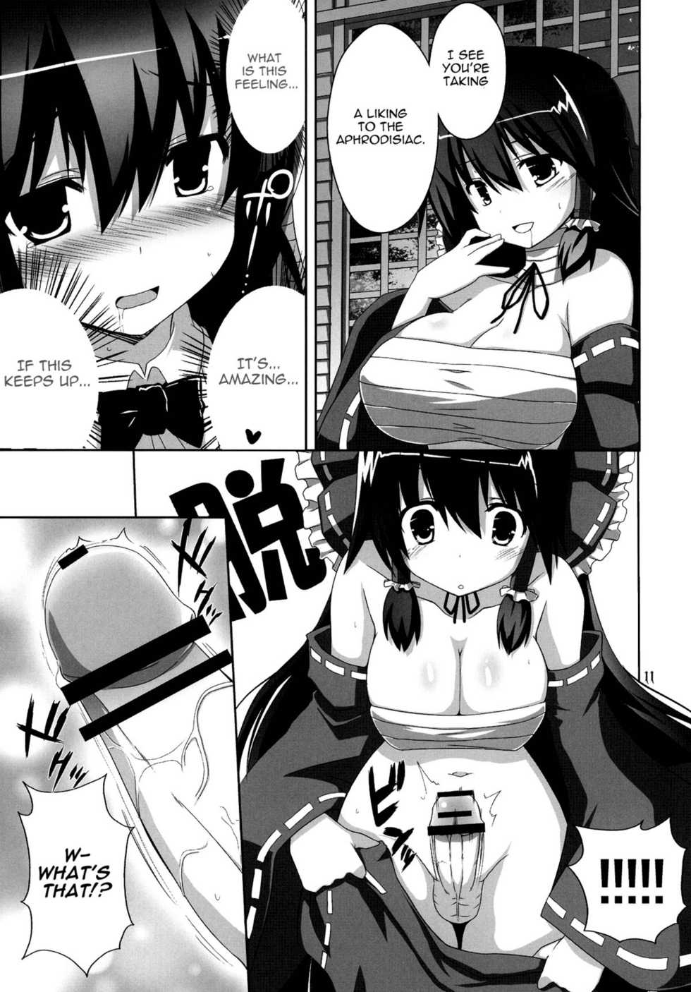 (C78) [odin (Kurokawa IZUMI)] Kinoko no Sasoi 5 (Touhou Project) [English] [U MAD Scanlations] - Page 10