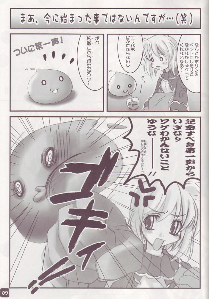 (CR33) [HYPER BRAND (Ishihara Masumi)] Operation RAGNAROK ~BRILLIANT TO YOU~ (Ragnarok Online) - Page 9