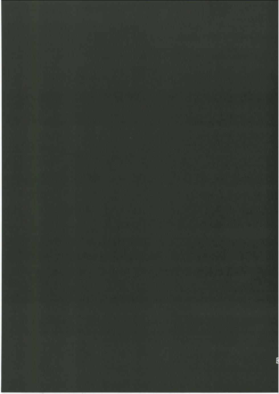 (C102) [DeepSilky, Sugar Happy (Mutsuki Aki, Kuzumoti)] Kuroinu Icha Love Cos Koubi (Fate/Grand Order) - Page 24