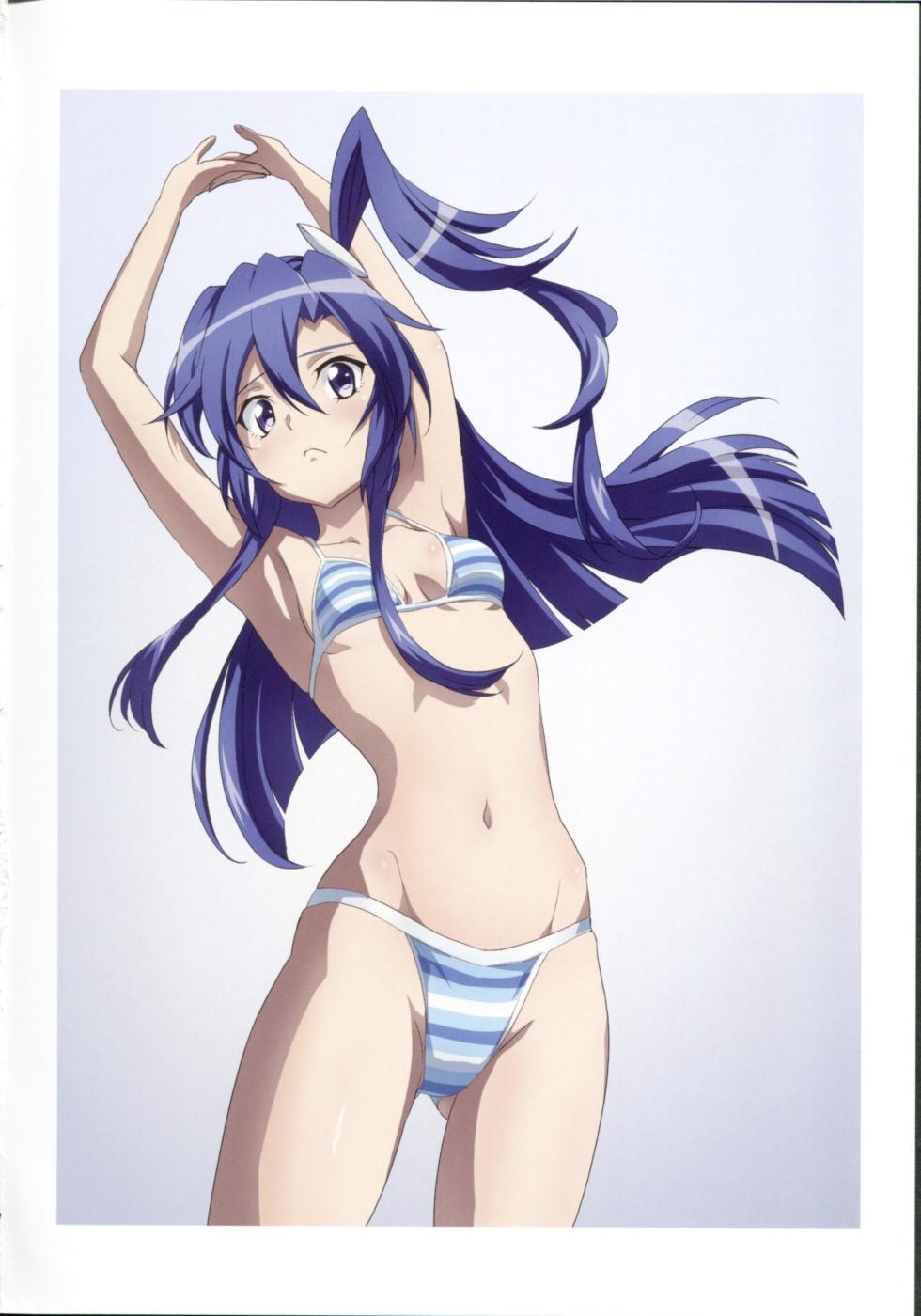 (C97) [Hanagara Shirt (Fujikawa Daichi)] BIKINI X OUTSIDE G (Senki Zesshou Symphogear) - Page 7