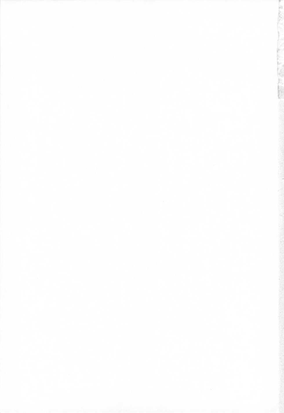 (C76) [NIKKA (Mario Kaneda)] Princess Code 03 (Seiken Densetsu 3) - Page 27