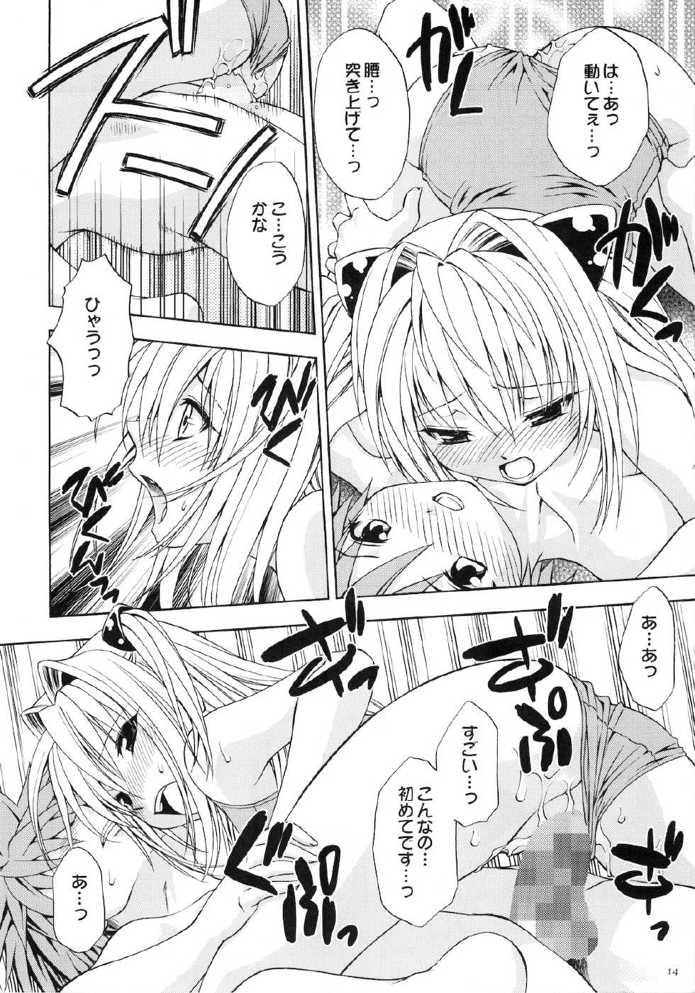 (COMIC1☆2) [Studio Wallaby (Shizaki Masayuki)] Ecchii no wa Suki Desu ka? (To LOVE-Ru) - Page 14