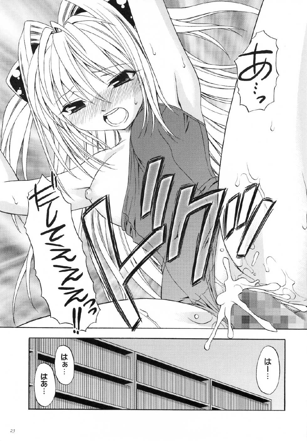 (COMIC1☆2) [Studio Wallaby (Shizaki Masayuki)] Ecchii no wa Suki Desu ka? (To LOVE-Ru) - Page 23