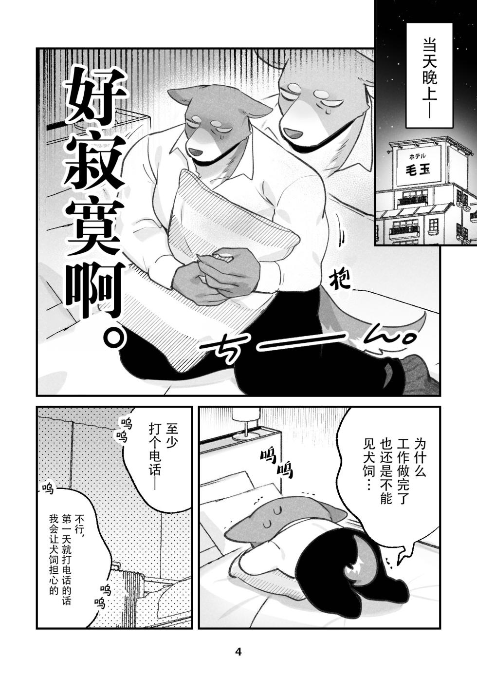 (Kemoket 15) [Kenkou Kedama Seikatsu (Kadiro)] Inukei no R18 (Inukei no Kareshi) [Chinese][Digital][神州国光社] - Page 4