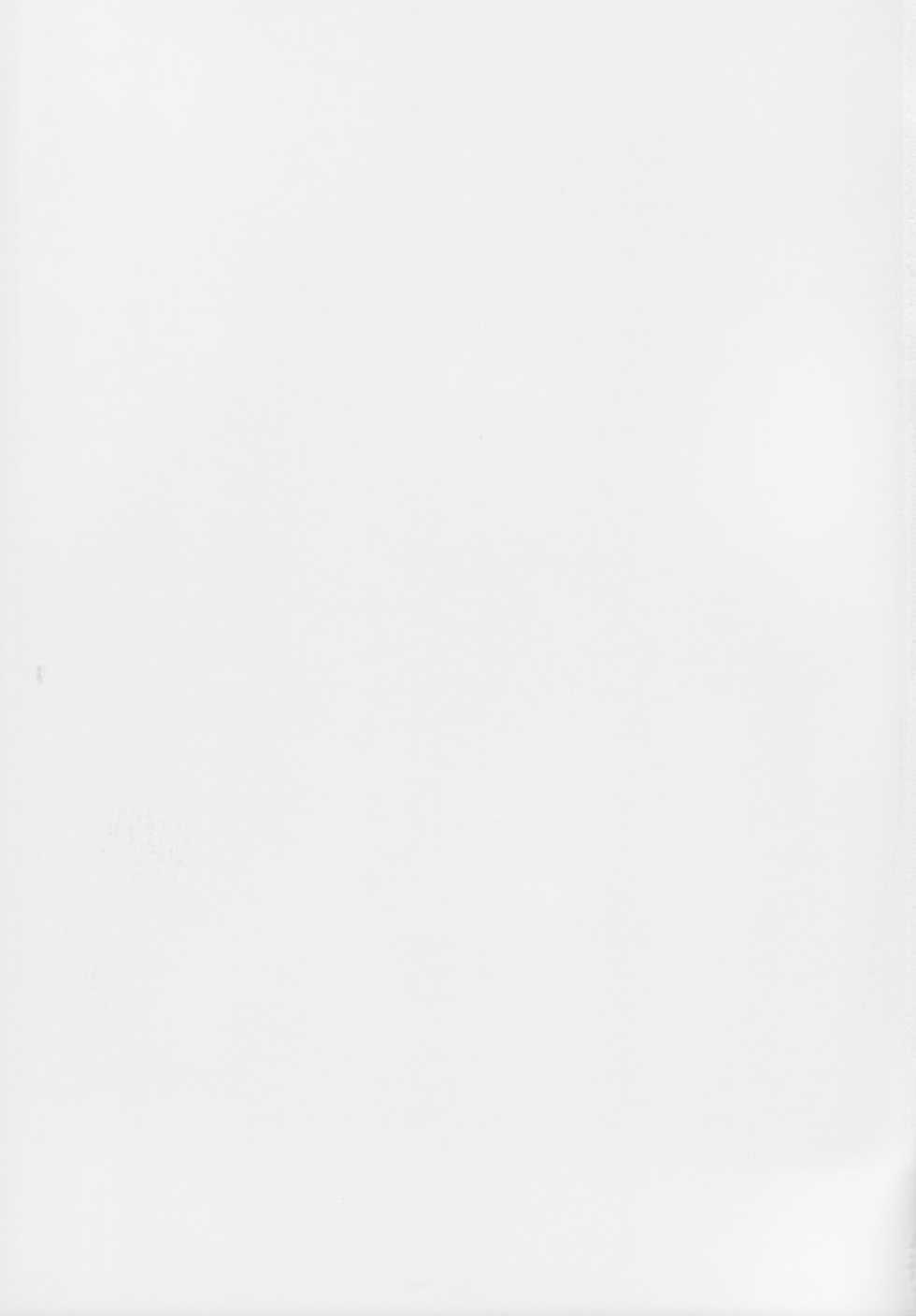 (C73)[Sangatsu No Lion (Don Shigeru)] Fog Field (Darker Than Black) - Page 21