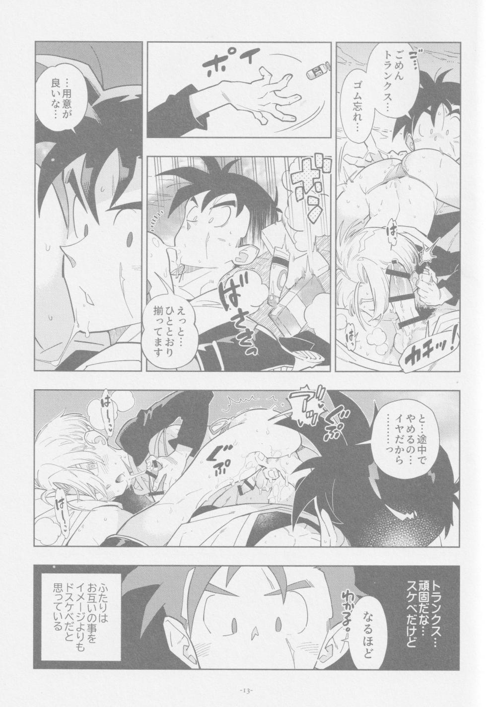 (ShotaFes 17) [Article 60 of Criminal Code (Shuhan)] Nee Gohan-san Micro Bikini Suki desu ka? (Dragon Ball Z) - Page 12