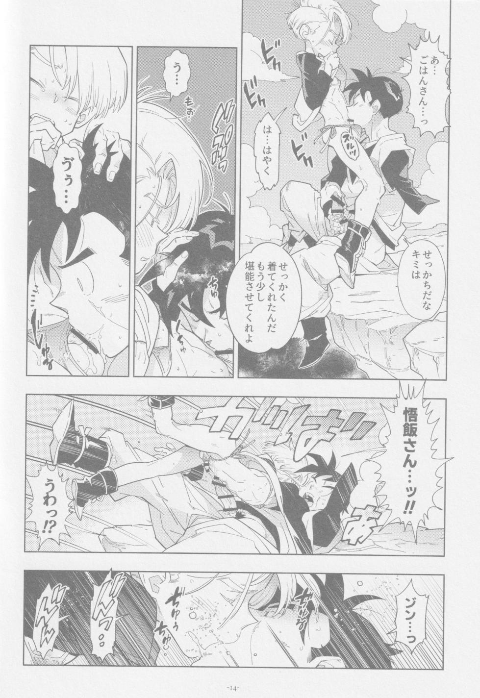(ShotaFes 17) [Article 60 of Criminal Code (Shuhan)] Nee Gohan-san Micro Bikini Suki desu ka? (Dragon Ball Z) - Page 13