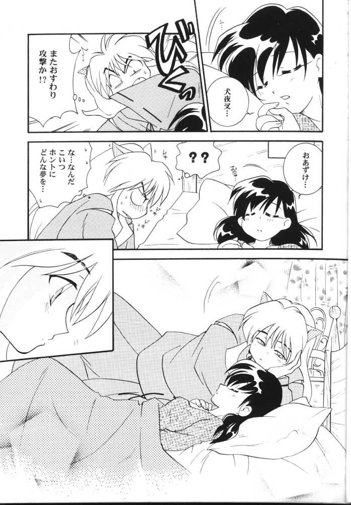 (C59) [Yamaguchirou (Yamaguchi Shinji)] Hama 2 (Sengoku Otogizoushi Inuyasha) - Page 8