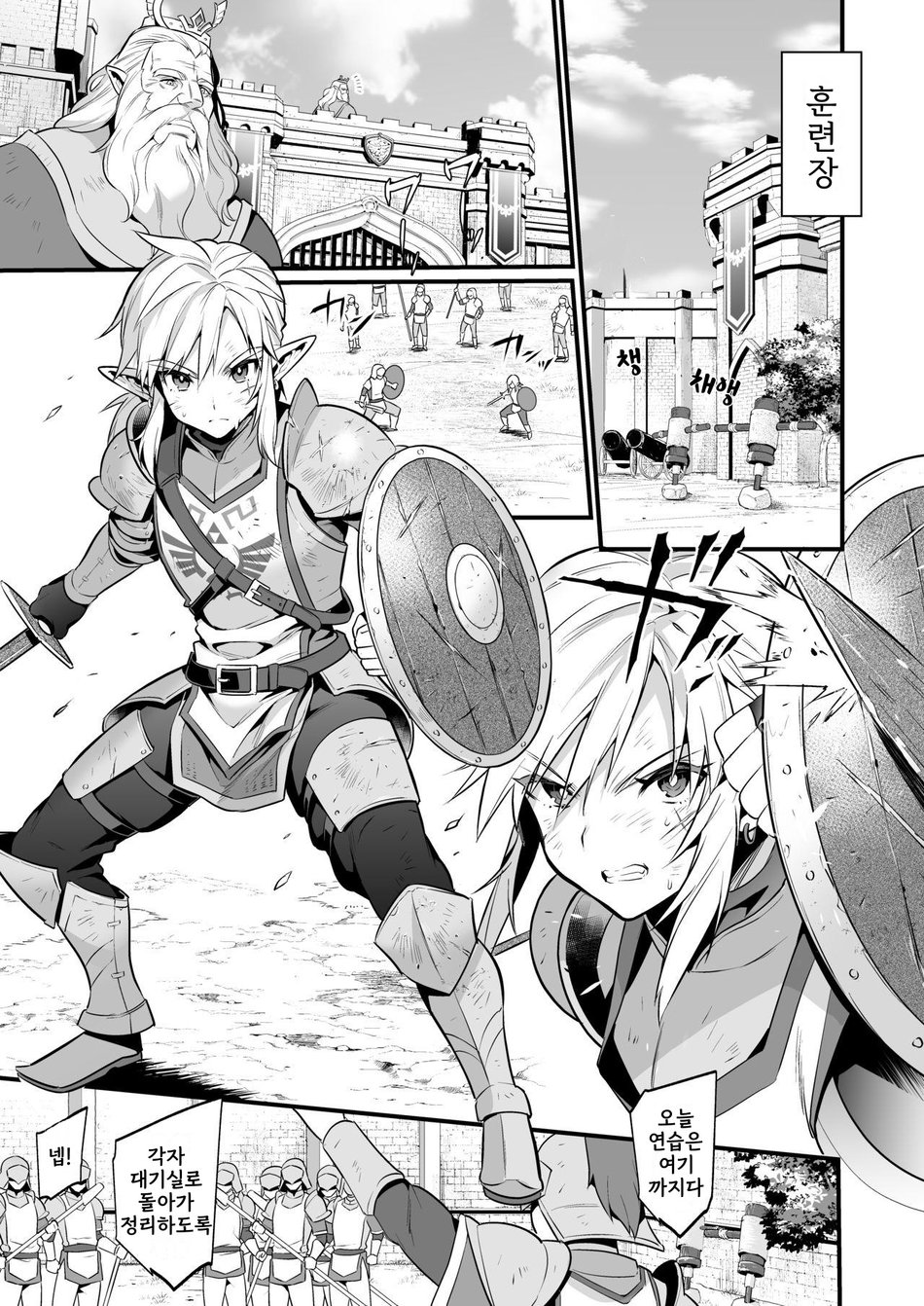[Morittokoke (Morikoke)] Kunrenhei no Junan | 훈련병의 수난 (The Legend of Zelda) [Korean] [마리망에서만/맹] [Digital] - Page 5
