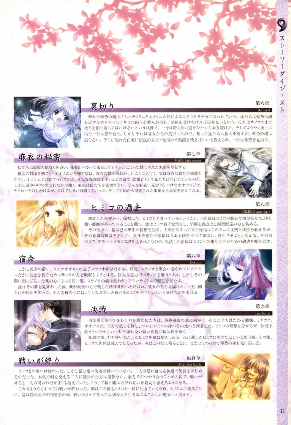 History of IZUMO〜IZUMO World Guidebook - Page 13