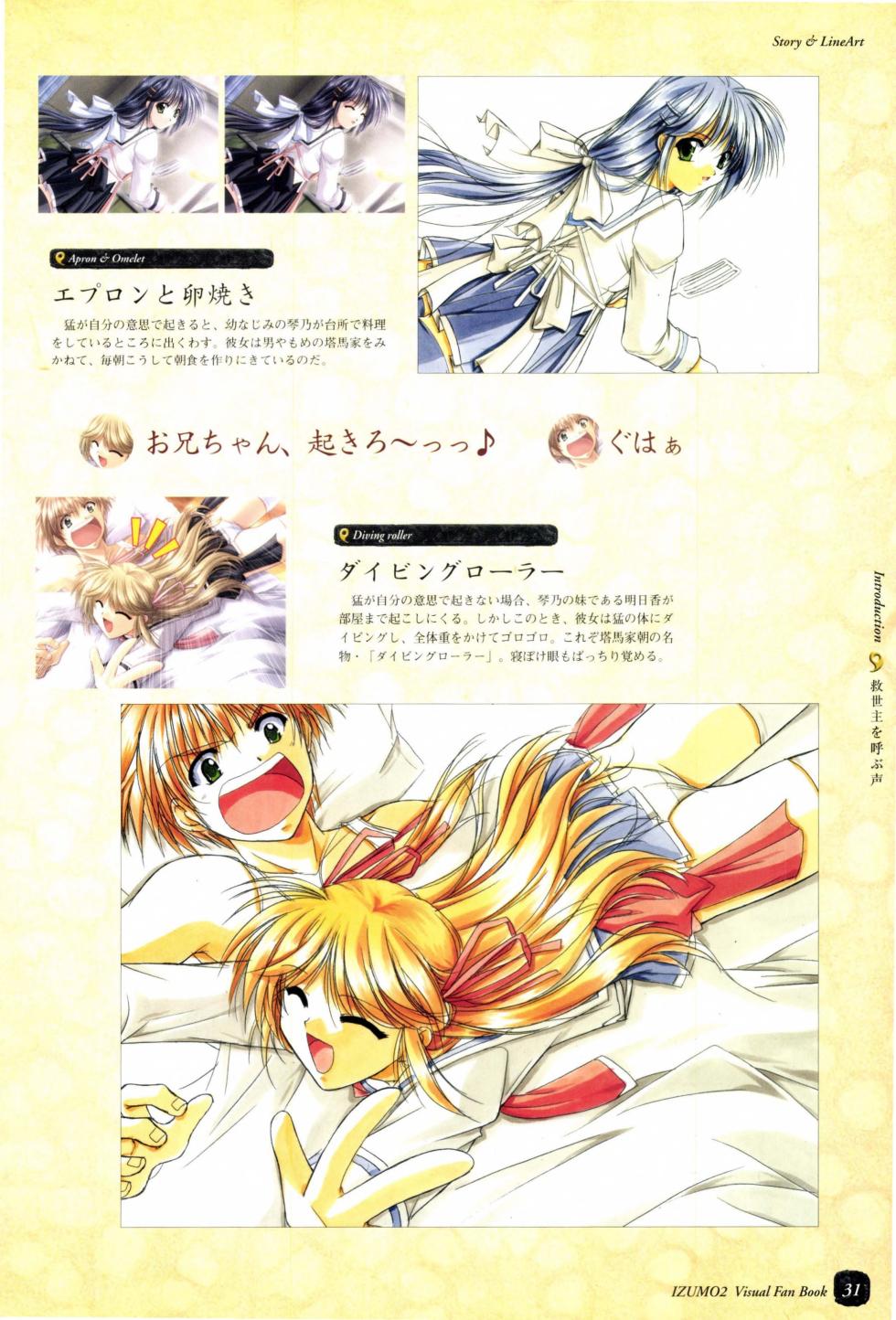 IZUMO 2 Visual Fan Book - Page 33