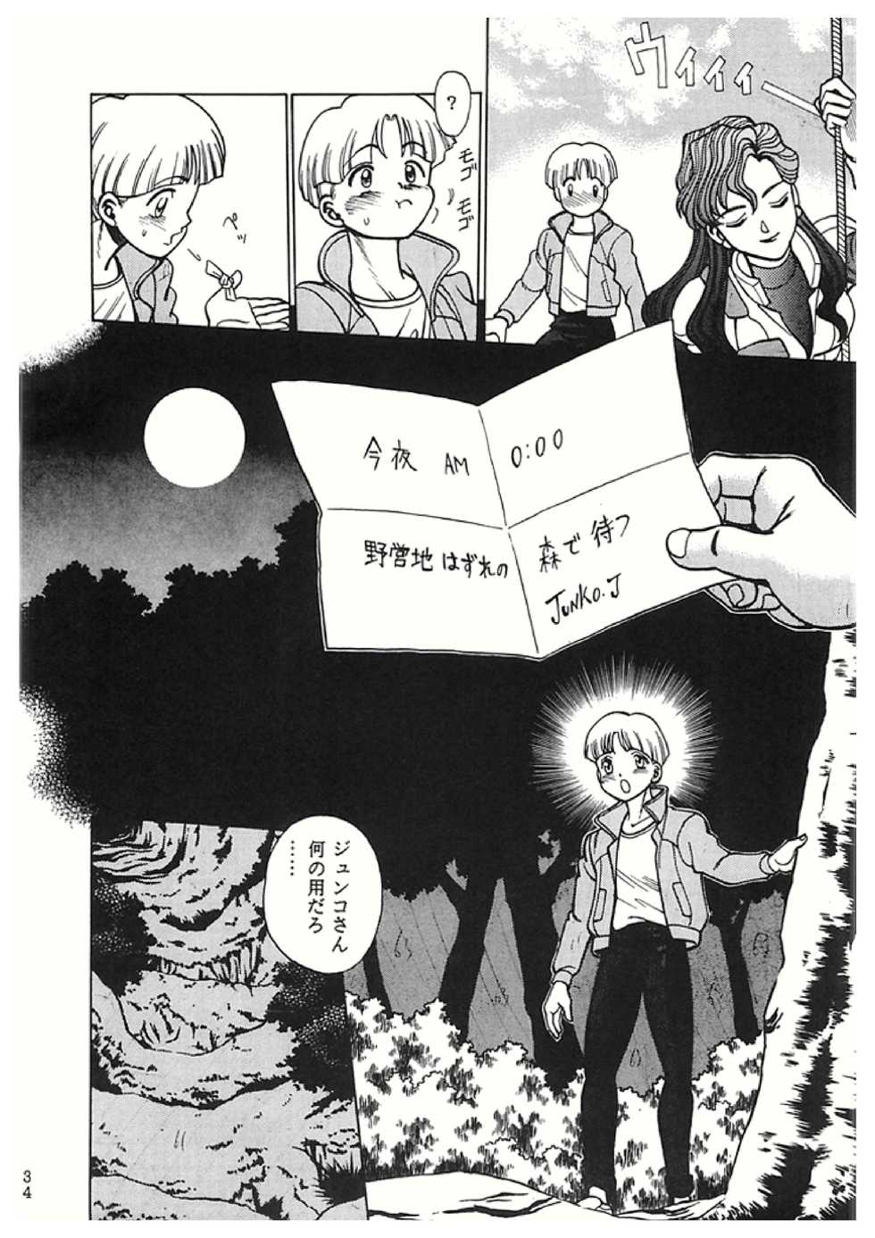 (C50) [Tamakiya (Tamaki Nozomu)] Sankappin (Various) - Page 34