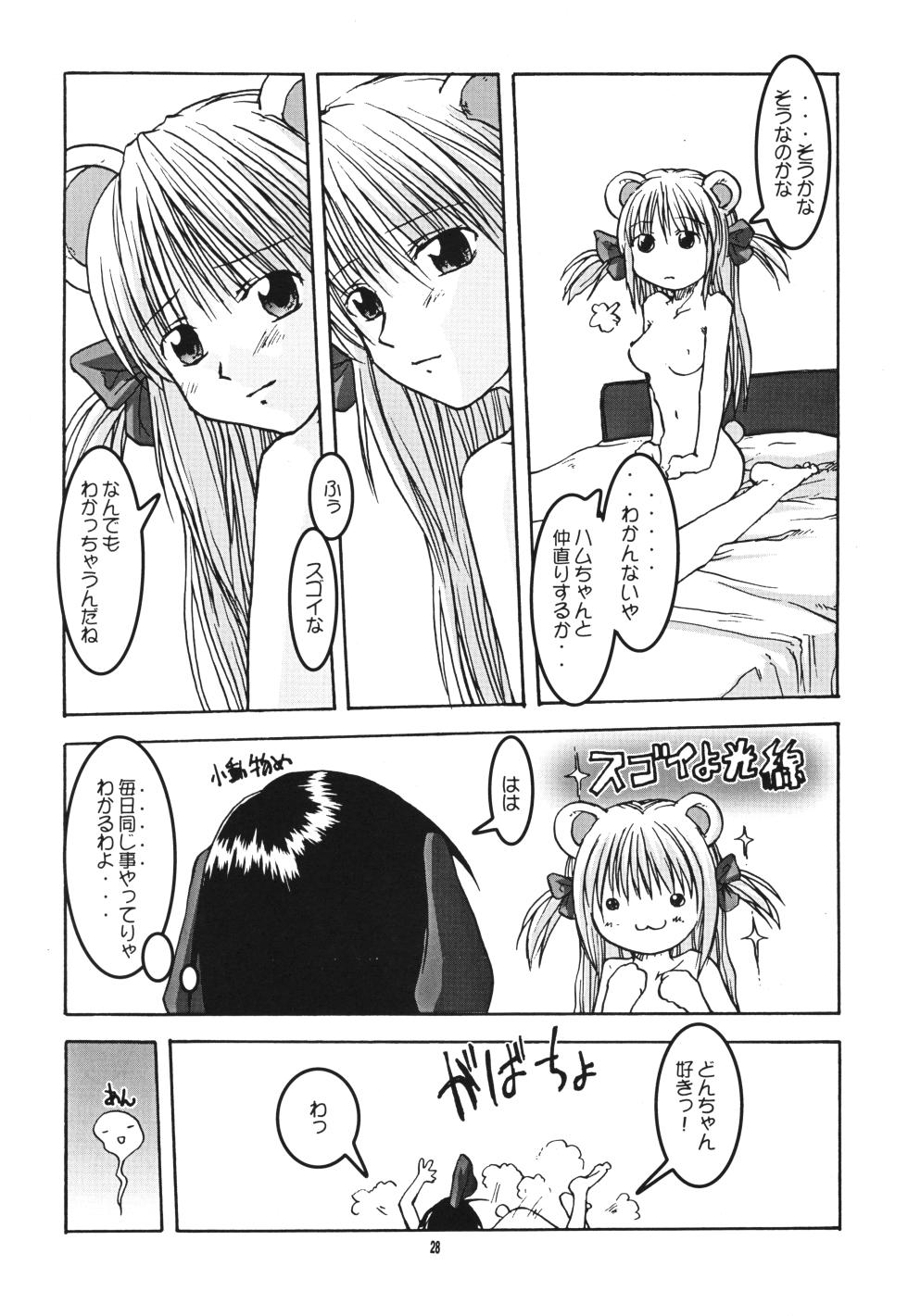 [Kansai Kemono Rengou (Various)] Kemonoke Tsuushin 11 Roko-chan Fanbook (Hamtaro) - Page 27