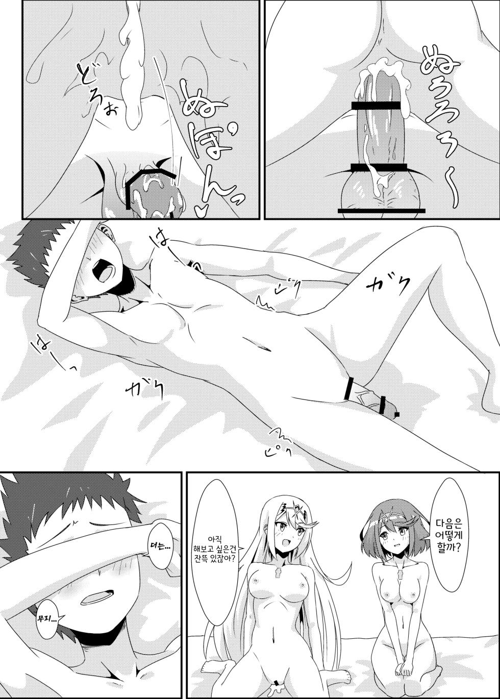 [ShaDraw (Kagemiya)] Nyan Nyan Nia-chan Hon 2 | 야옹야옹 니아쨩 2 (Xenoblade Chronicles 2) [Korean] [Digital] - Page 30