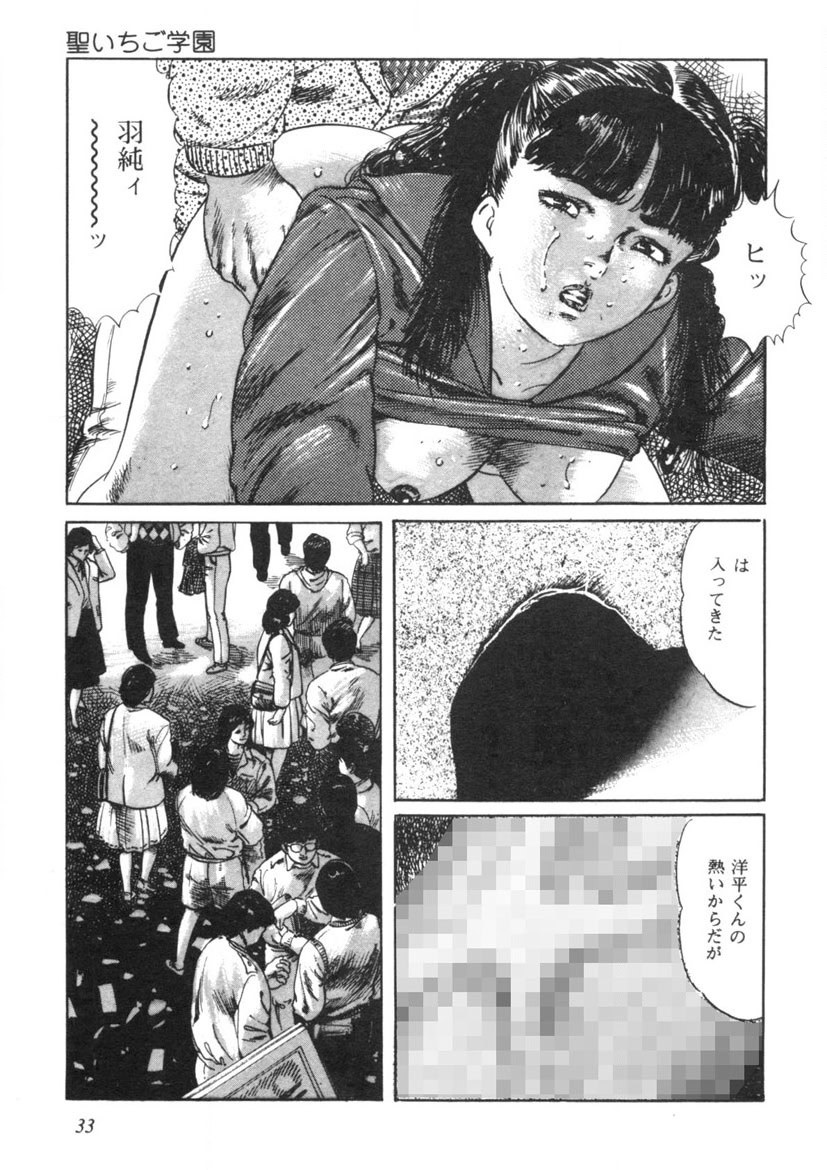 [Yamada Nora] Sei Ichigo Gakuen [Digital] - Page 34