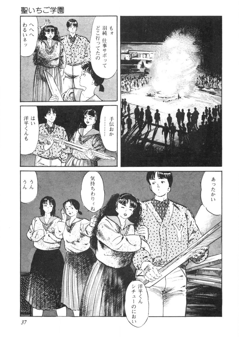 [Yamada Nora] Sei Ichigo Gakuen [Digital] - Page 38