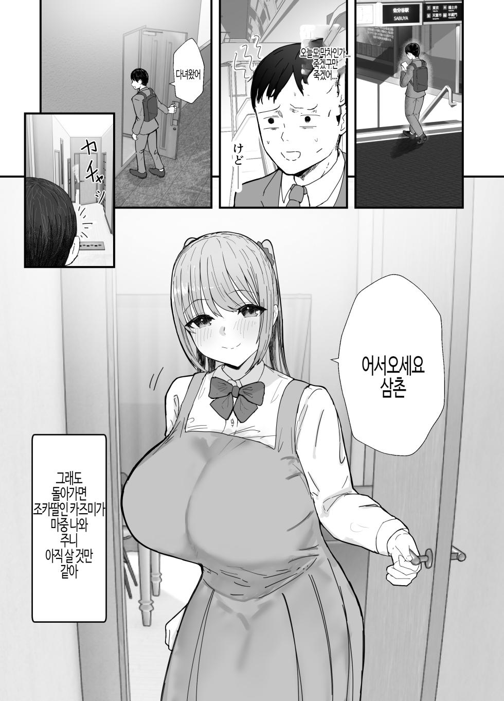 [Baketsu Purin] Tsugou no Ii Imouto to | 동거하는 폭유 조카 JK는 달콤한 섹스로 샐러리맨을 가득 치유한다  [Korean] - Page 5