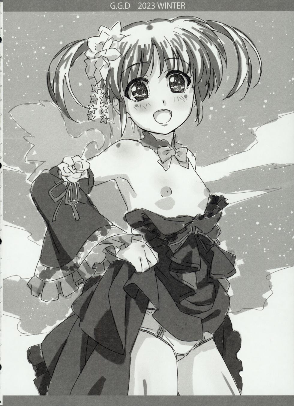 (C103) [Tamagoya (Miyajima Hitoshi)] Gallus.Gallus.Domesticus 2023.WINTER (Mahou Shoujo Lyrical Nanoha) - Page 3