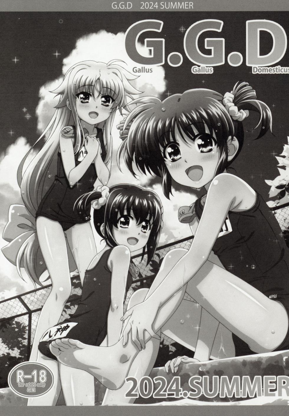 (C104) [Tamagoya (Miyajima Hitoshi)] Gallus.Gallus.Domesticus 2024.SUMMER (Mahou Shoujo Lyrical Nanoha) - Page 2