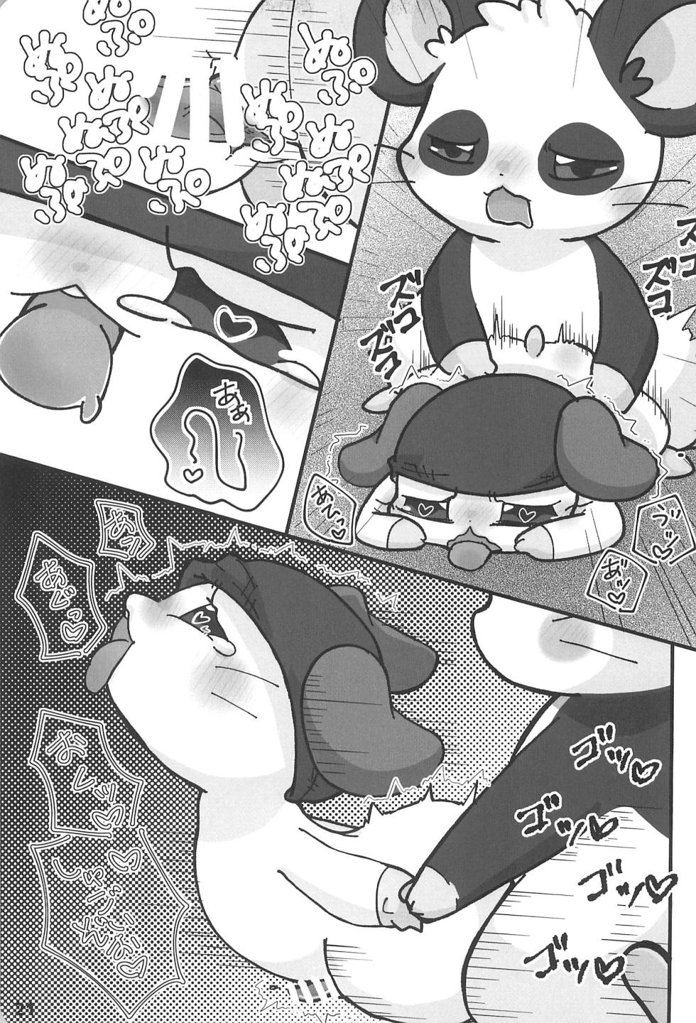 (Kansai Kemoket 9) [Haneru Hi (084)] Motto xx Oshiete! Panda-kun (Hamtaro) - Page 23