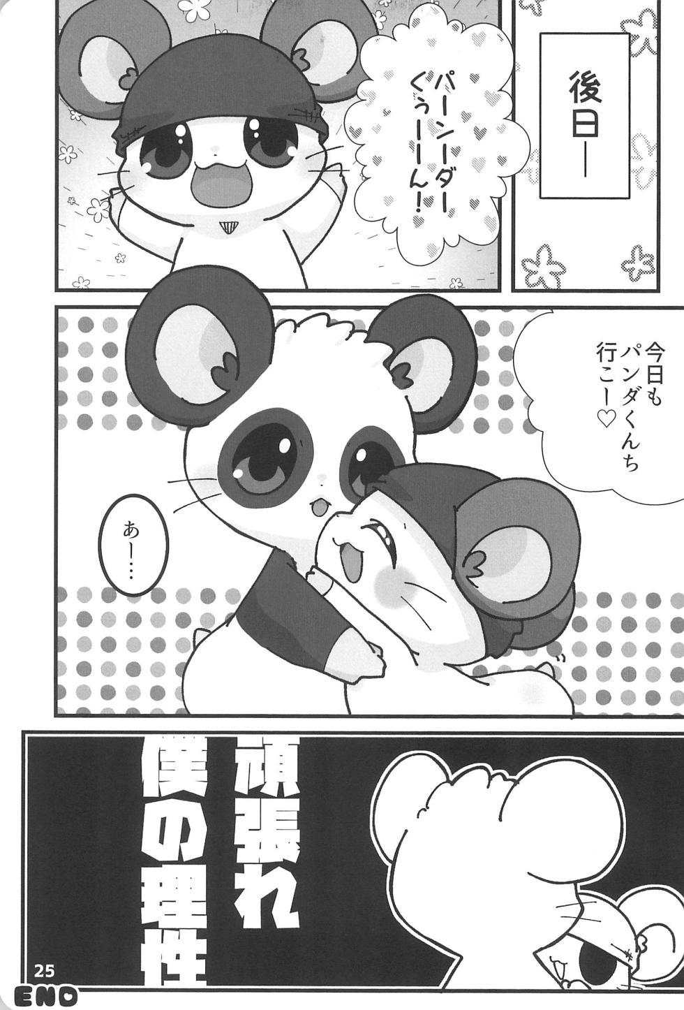 (Kansai Kemoket 9) [Haneru Hi (084)] Motto xx Oshiete! Panda-kun (Hamtaro) - Page 27