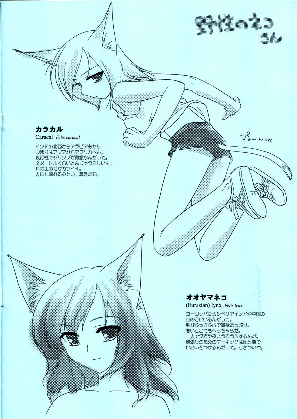 [FlavorGraphics* (Mizui Kaou)] [2003-03-16] - Feline Lovers - Page 7