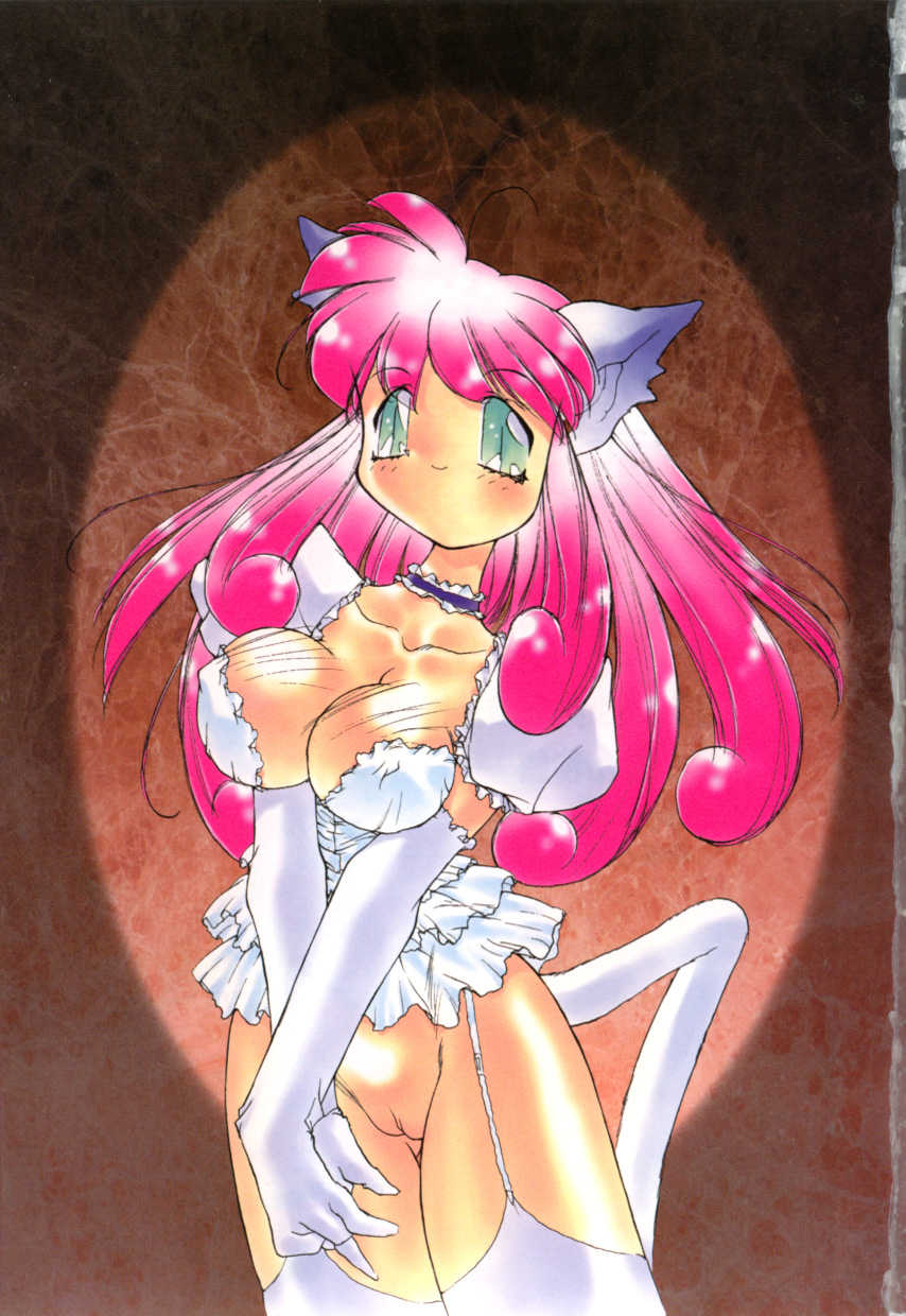 [Hariken Hanna] Totsuzen! Cat tale EX - Page 3