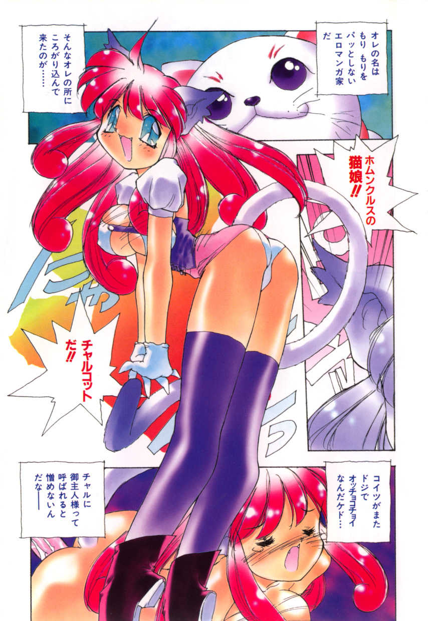 [Hariken Hanna] Totsuzen! Cat tale EX - Page 5