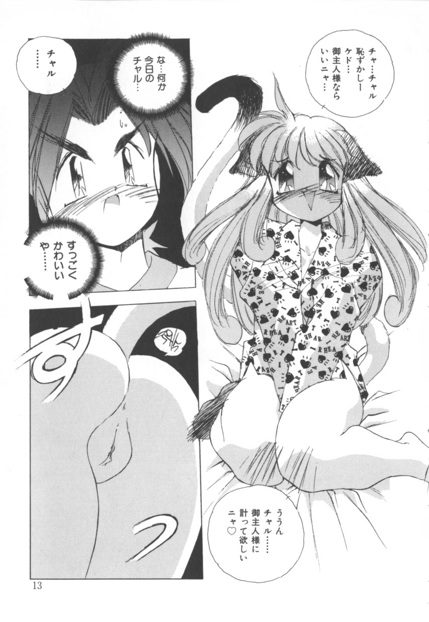 [Hariken Hanna] Totsuzen! Cat tale EX - Page 13