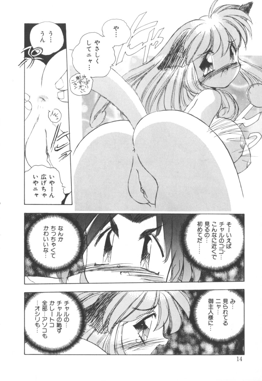 [Hariken Hanna] Totsuzen! Cat tale EX - Page 14