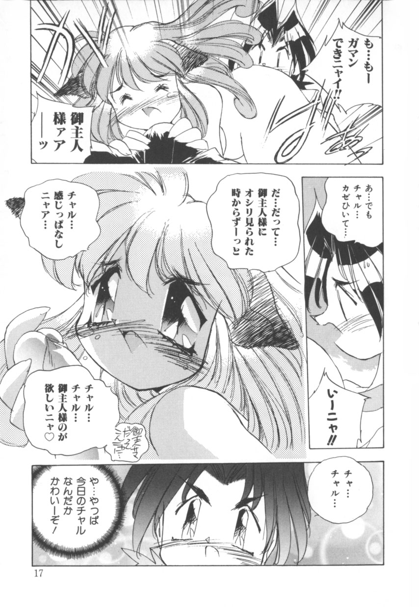 [Hariken Hanna] Totsuzen! Cat tale EX - Page 17