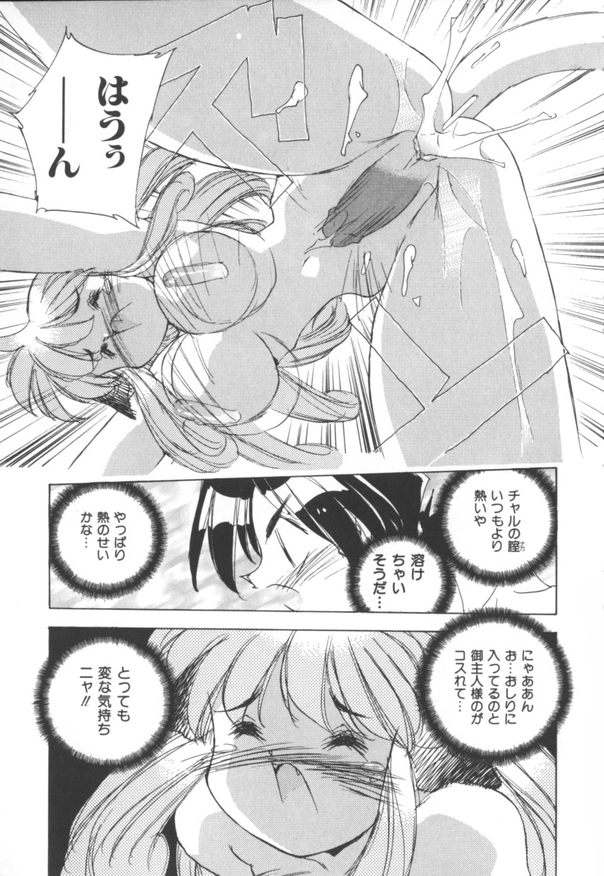 [Hariken Hanna] Totsuzen! Cat tale EX - Page 19