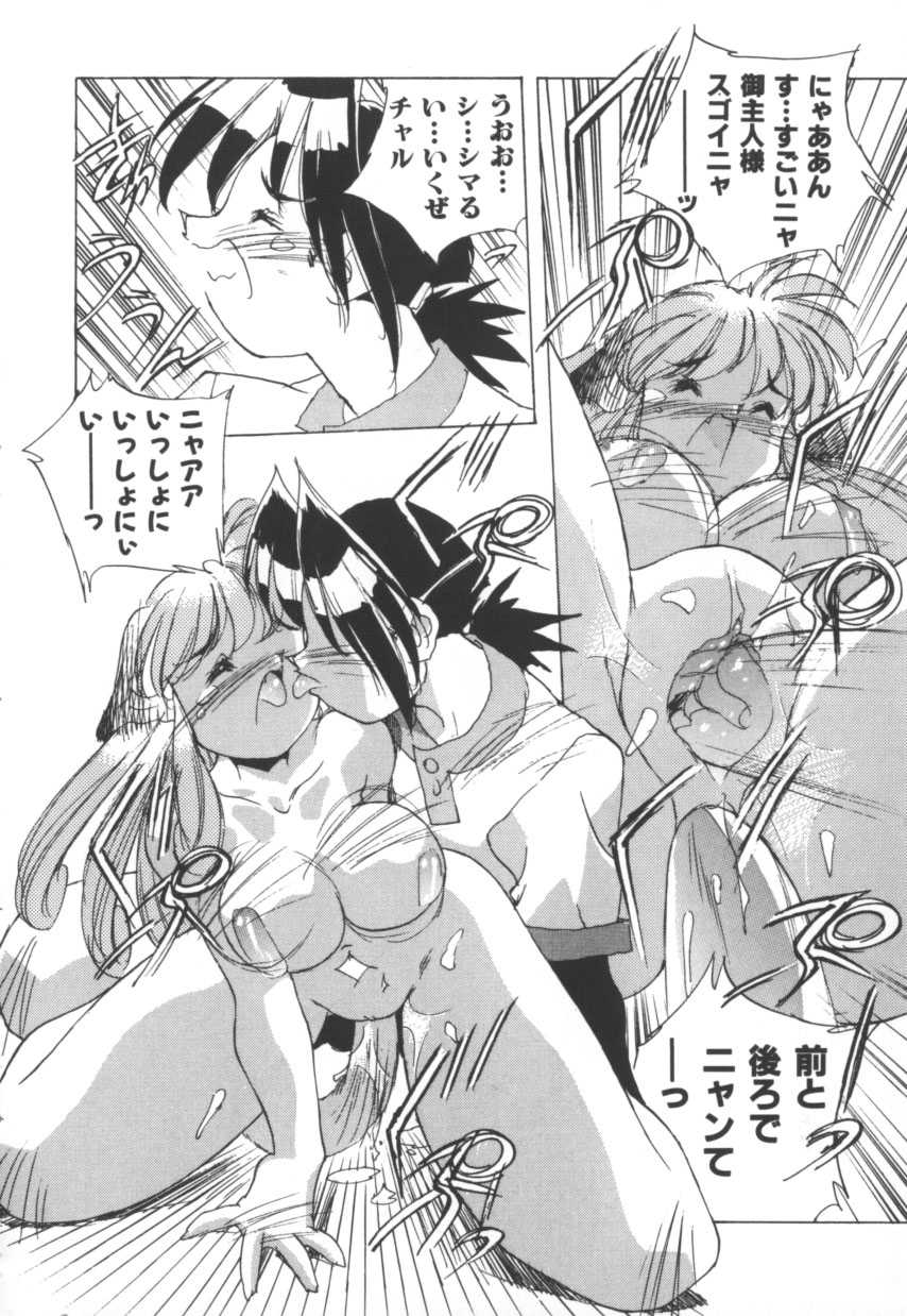 [Hariken Hanna] Totsuzen! Cat tale EX - Page 26