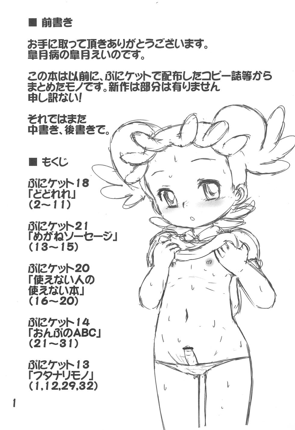 (Puniket 22) [Satsuki Yamai (Satsuki Eino)] Liberating from Stapler (Ojamajo Doremi) - Page 3