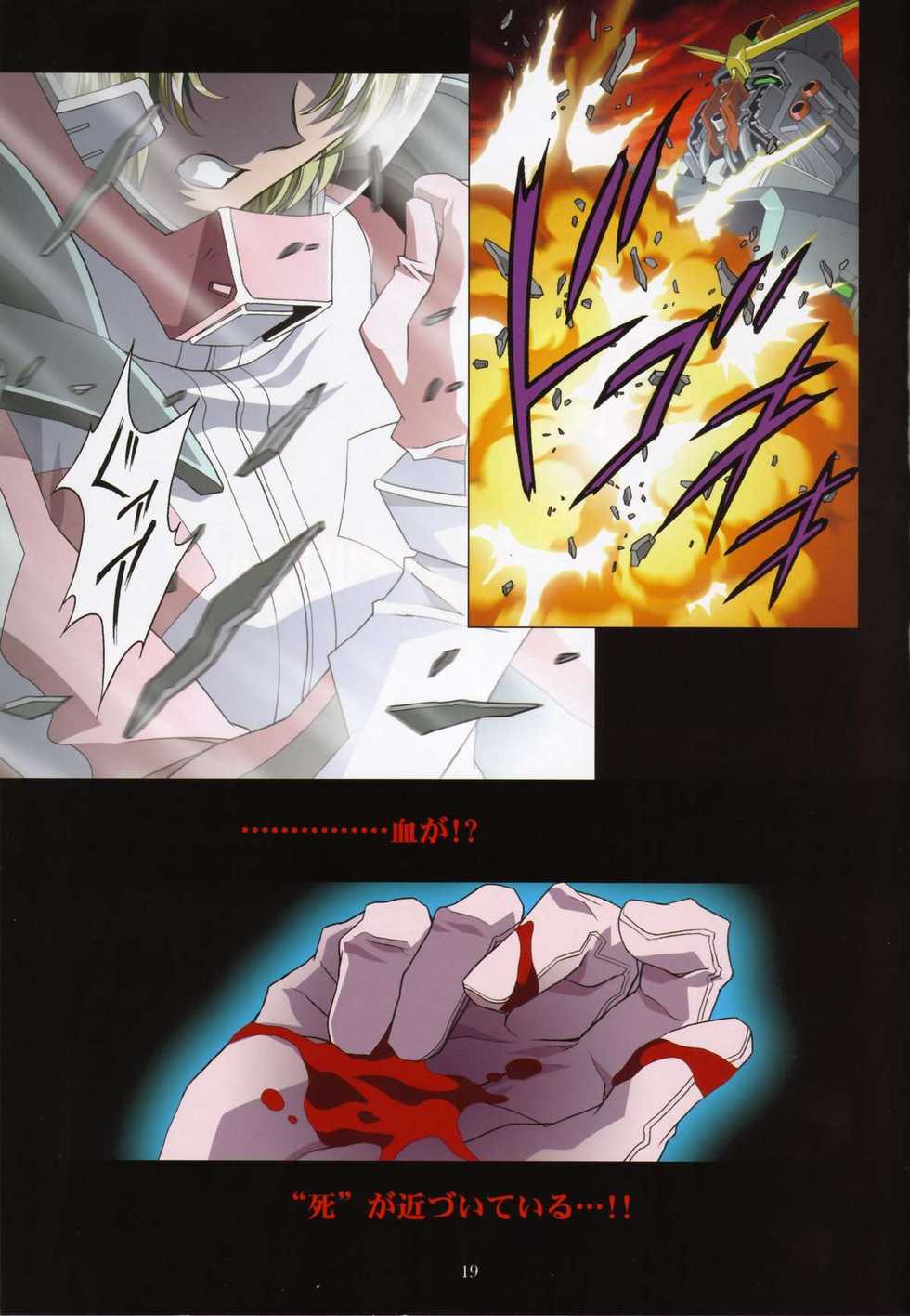 (C69) [Henrei-kai (Kawarajima Koh)] M.O.E -Morgen of Extended- (Kidou Senshi Gundam SEED DESTINY) - Page 19