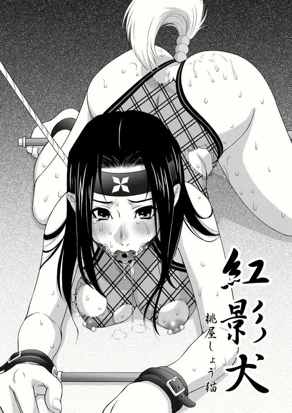 [U.R.C (Momoya Show-Neko)] Benikage Inu (Rumble Roses) [Digital] - Page 4