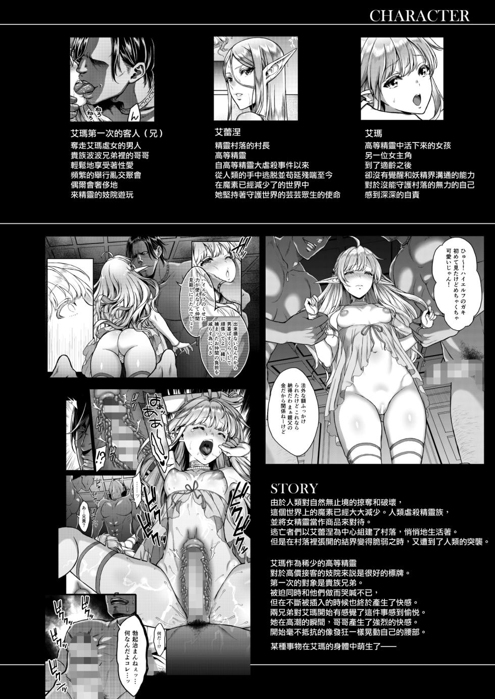 [H.B.A (うさぎなごむ)] 黄昏の娼エルフ4 [中国翻訳] [DL版] - Page 2