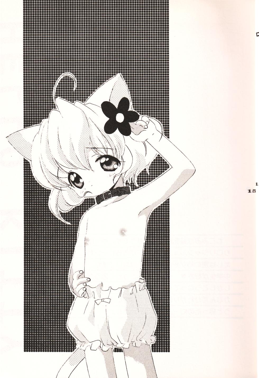 [Hakka-ya (Tokumi Yuiko)] HELLO KITTY (Hello Kitty) - Page 14